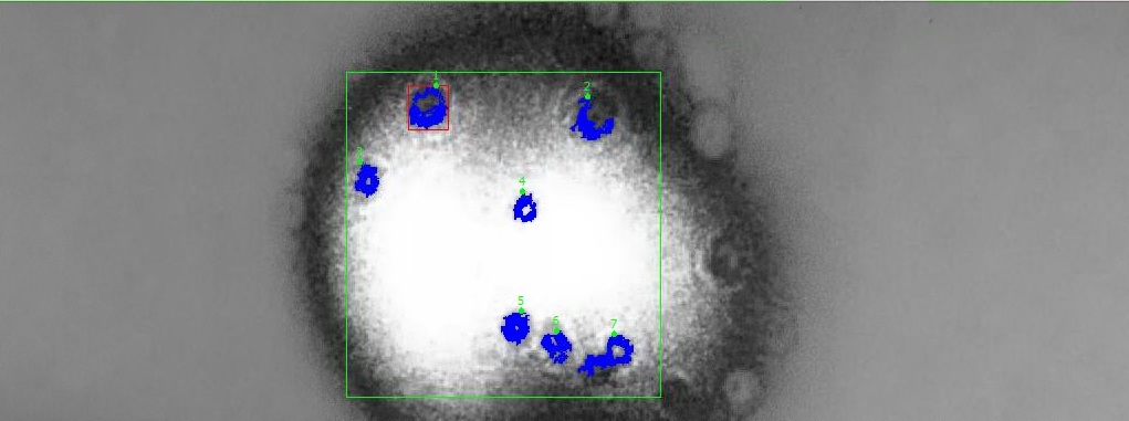 Detection of Microbeads-NI Vision Assistant.jpg